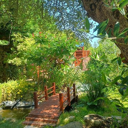 G1 Les Oliviers Villa Saint-Germain-de-Princay Luaran gambar