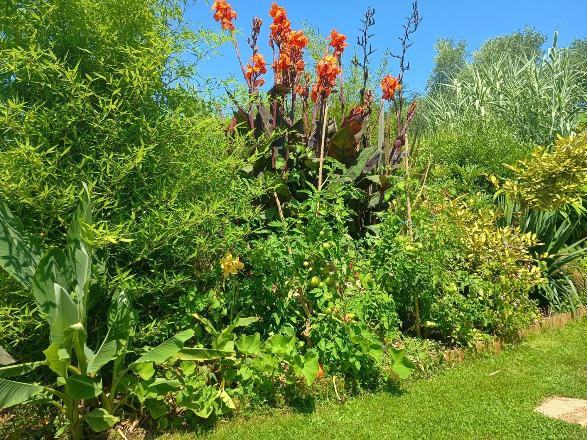 G1 Les Oliviers Villa Saint-Germain-de-Princay Luaran gambar